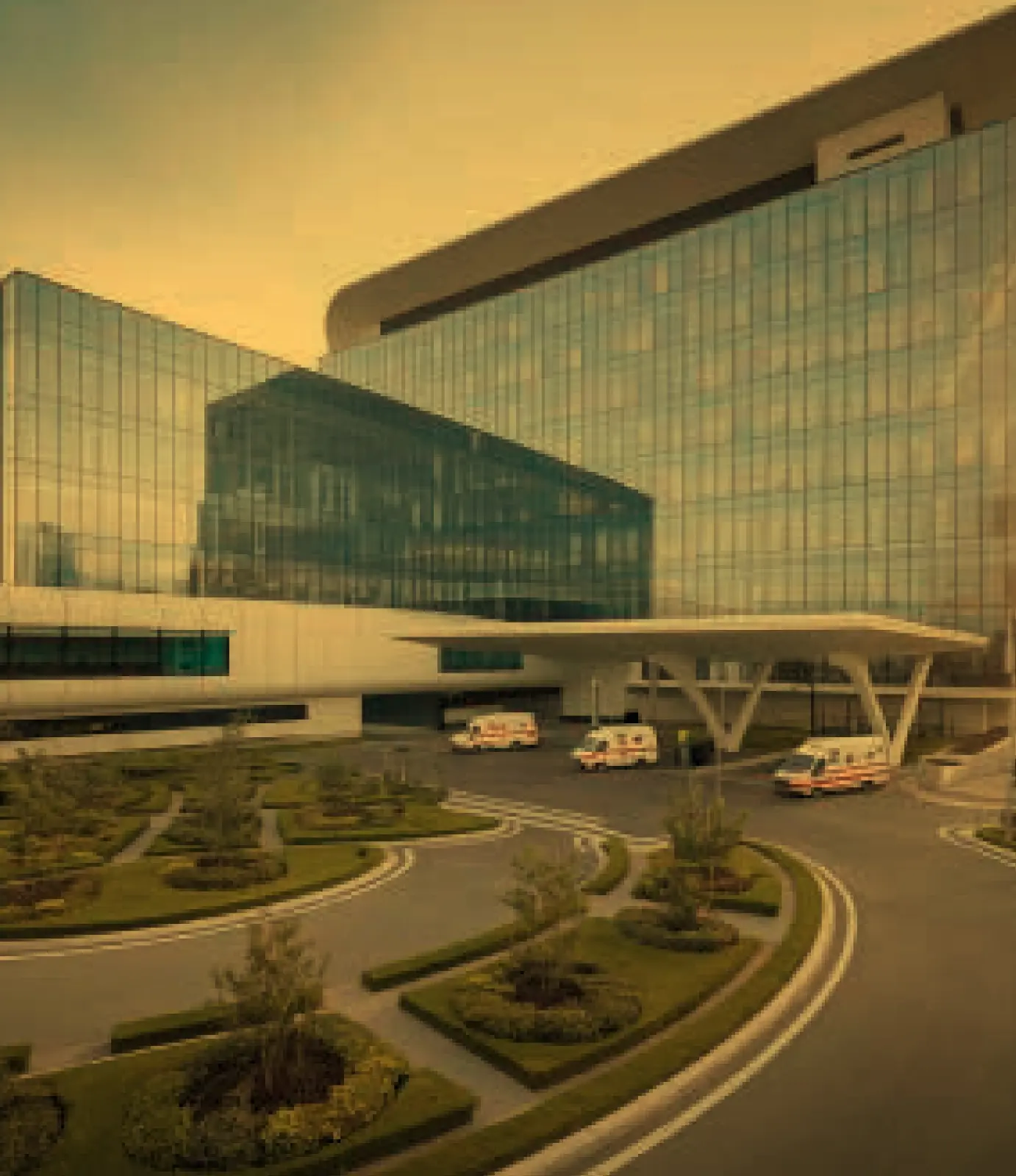 Medical & Health Care